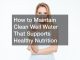 How to maintain clean well water